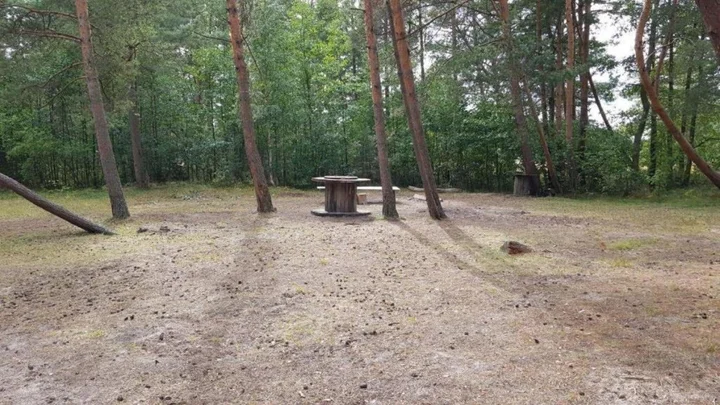 Сосновый Бор: Сёрф-станция Wind Hunters Station