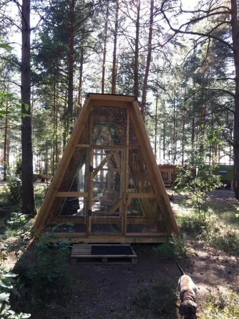 Сосновый Бор: Сёрф-станция Wind Hunters Station