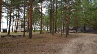 Сосновый Бор: Сёрф-станция Wind Hunters Station