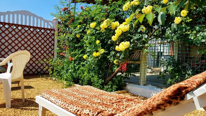 Николаевка: Tri Flaga Guest House