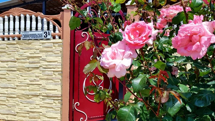 Николаевка: Tri Flaga Guest House