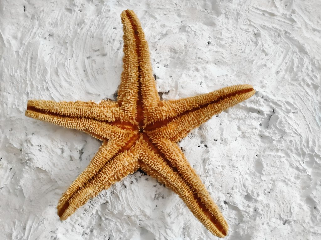 Увильды: Вилла Тропик Увильды