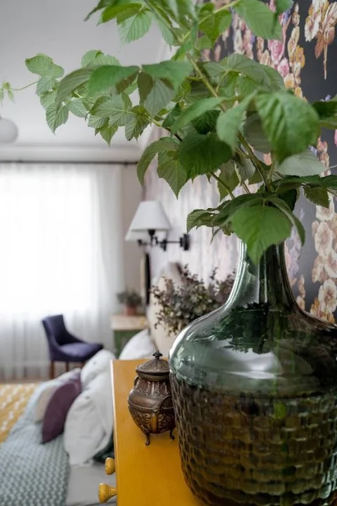 Орск: Апартаменты Уютные Апартаменты Botanica г Орск