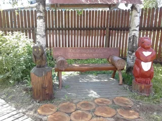 Няндома: Спутник