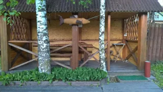 Няндома: Спутник