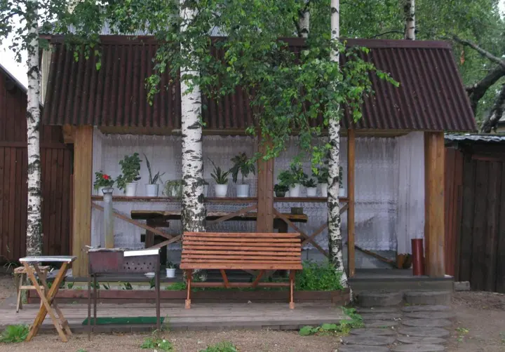 Няндома: Спутник