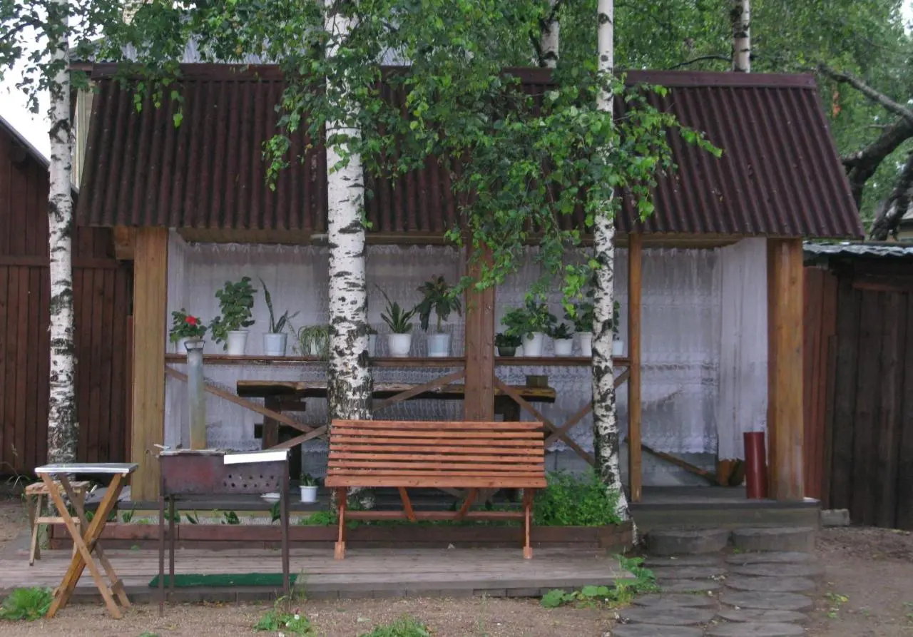 Няндома: Спутник