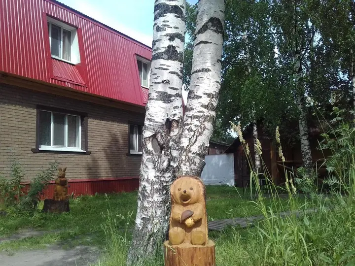 Няндома: Спутник