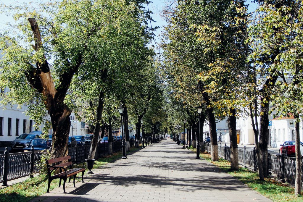 Кострома: Апартаменты в сердце Костромы