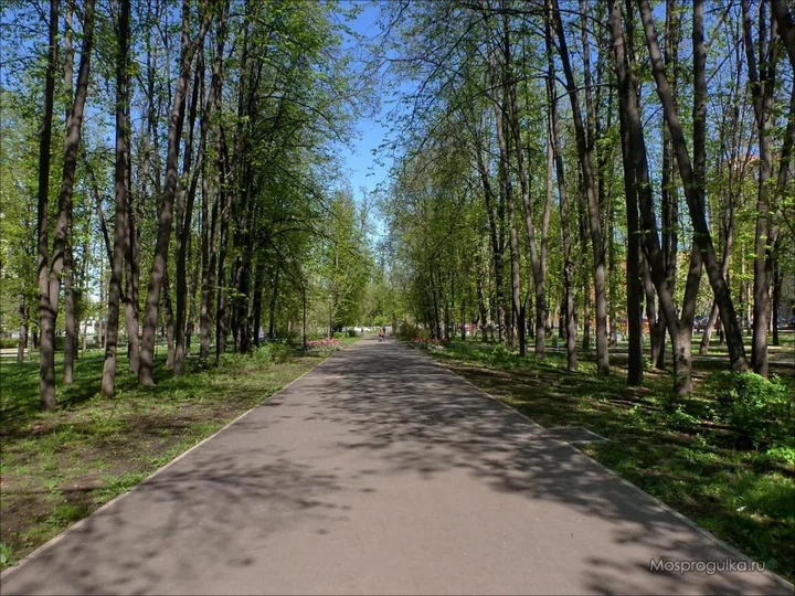 Архангельск: Отель Флагман