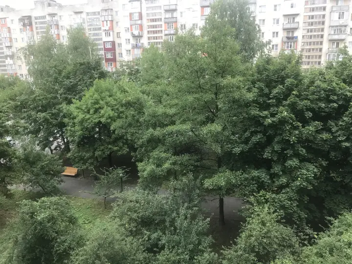 Владикавказ: Квартира V.I.P. Квартира