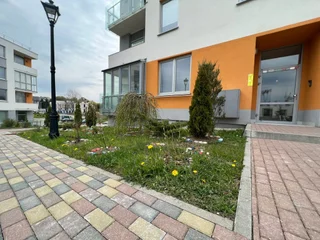Светлогорск: Апартаменты Солнечная