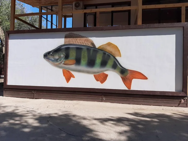 Федоровка: База отдыха Fish Sense