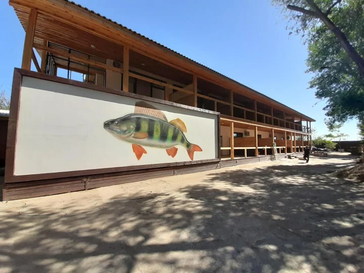 Федоровка: База отдыха Fish Sense