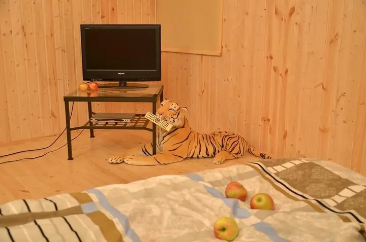 Ростов Великий: Markovo Holiday Home