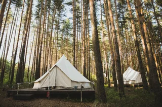 Калязин: Campsite Les i More