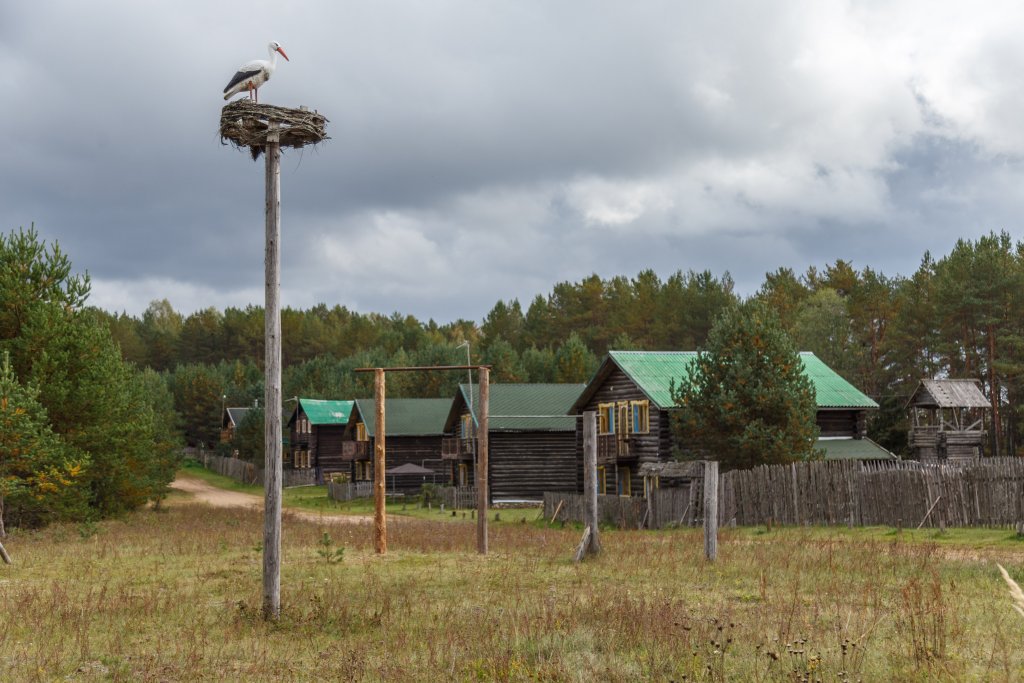Михайловское: Отель Киногородок