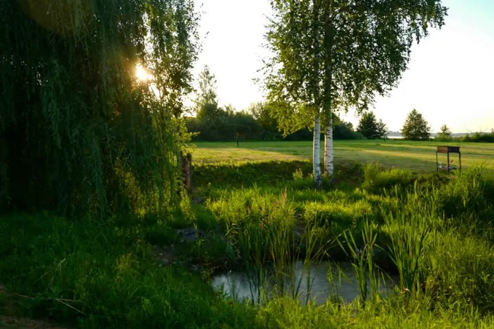 Новозавидовский: Загородный отель Zavidovo Resort