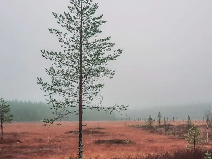 Костомукша: Domnan Pirtti