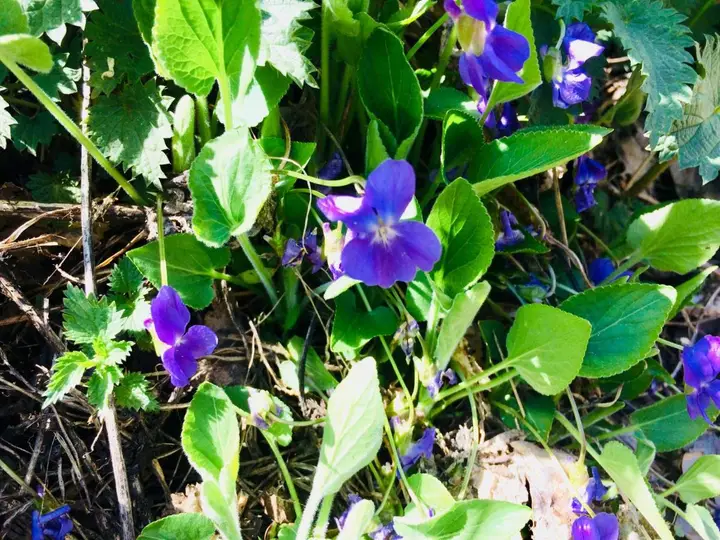 carousel image 1