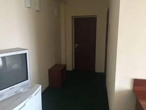 Алейск: Алейка