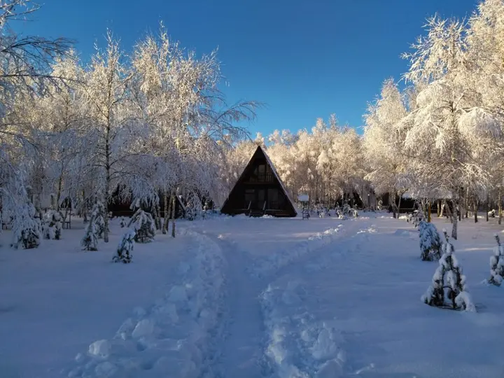 Кузьмищево: Отель Алино
