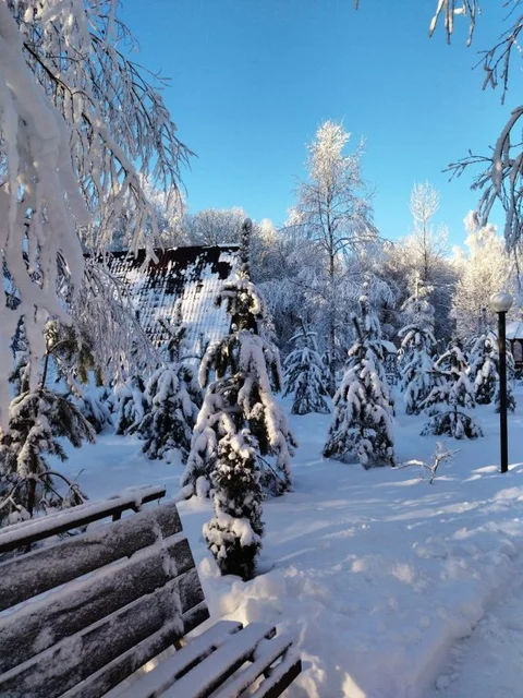 Кузьмищево: Отель Алино