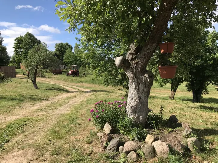 Гостевой дом Капаново — фото 6