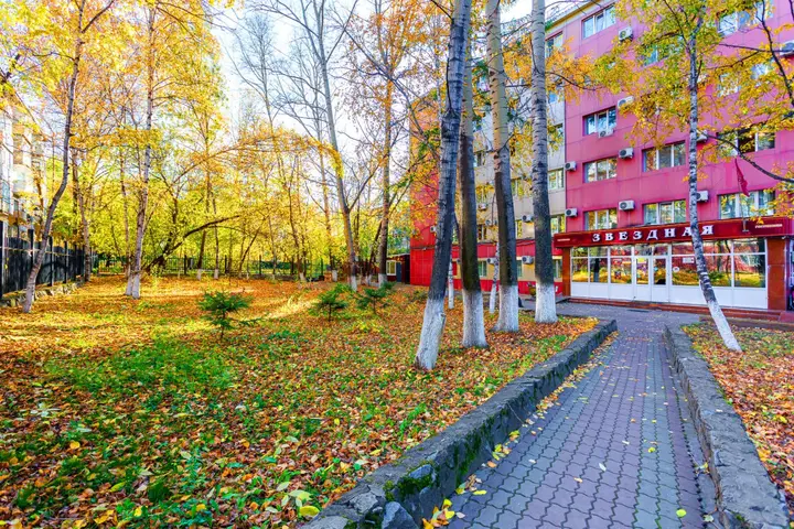Отель Звёздная — фото 2