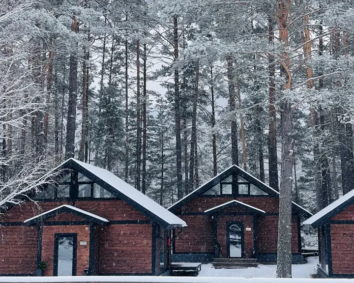 База Отдыха Шелест — фото 6