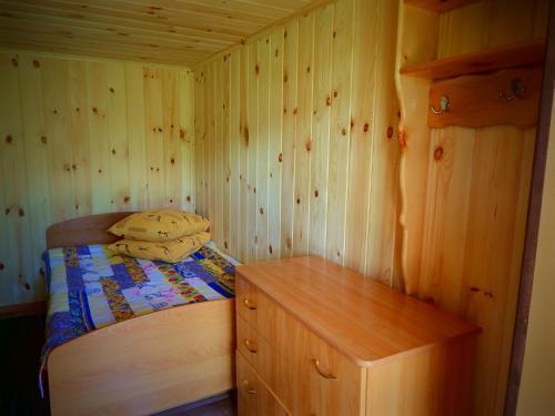 Чемал: Guest House Usadba Derevenka