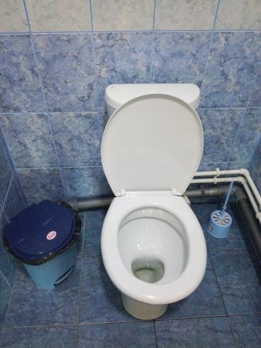 Чемал: Guest house Zubi Dragona