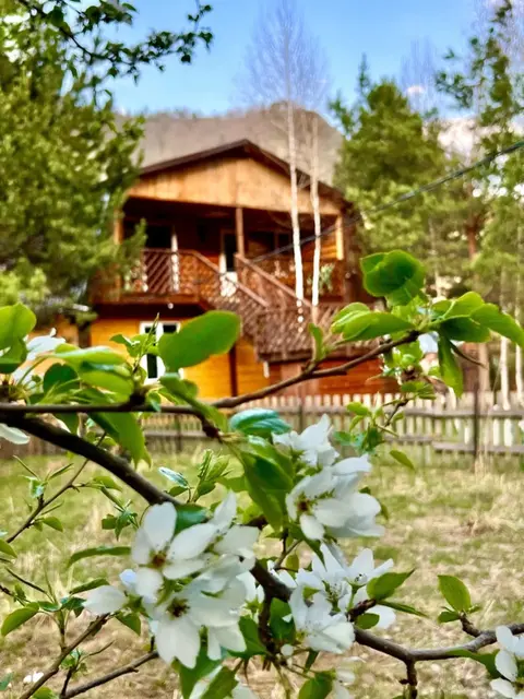 Узнезя: Гостевой дом Сельская усадьба