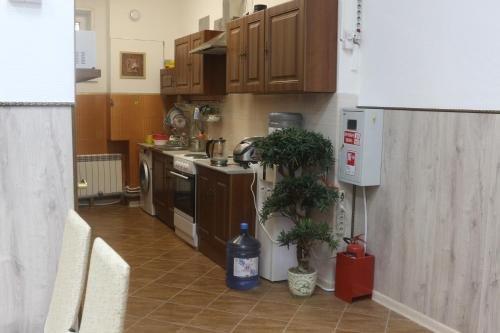 Тобольск: Hostel Super