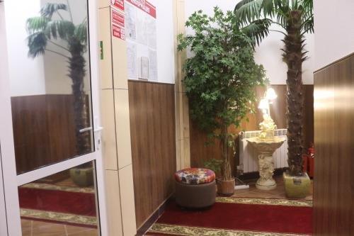 Тобольск: Hostel Super