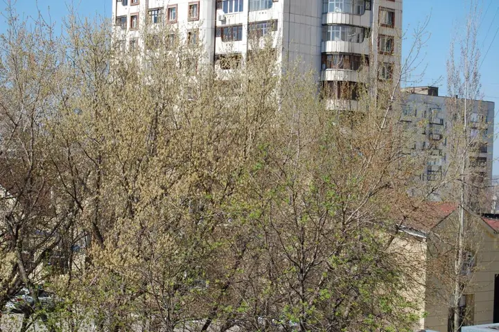Уфа: Friendly Apartment