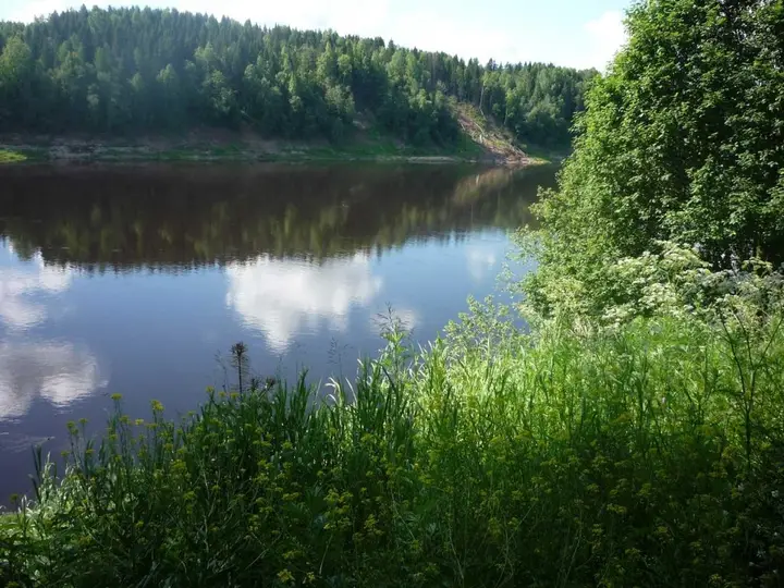 Жемчужина Сухоны — фото 5