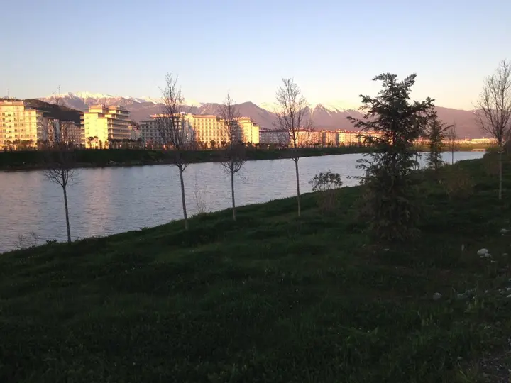 Сочи: Ариэль