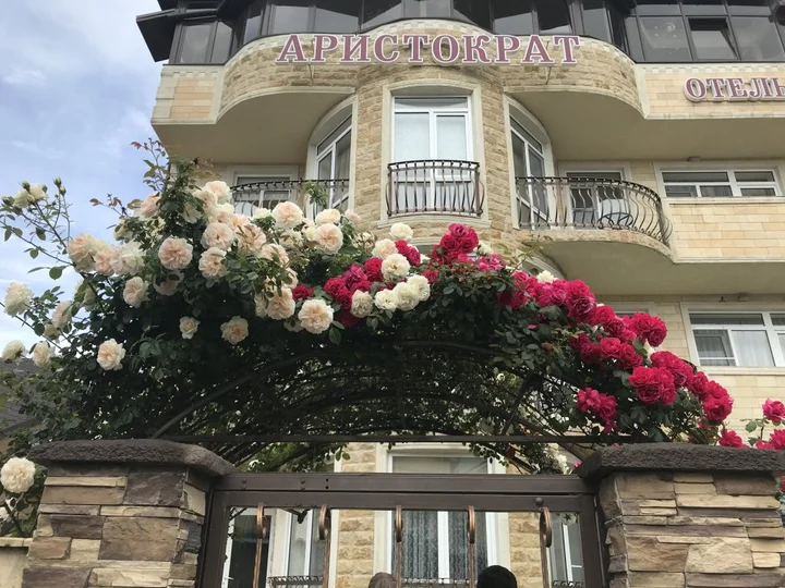 Адлер: Аристократ