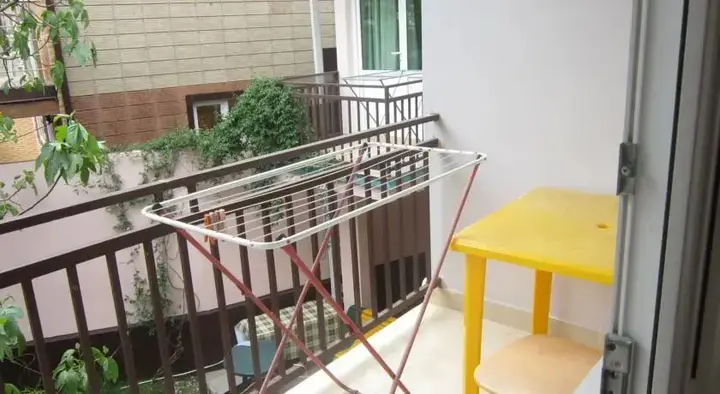 Сочи: Обезьяна