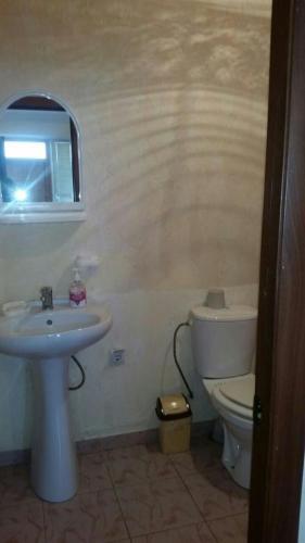 Владикавказ: Altyn Mini-Hotel