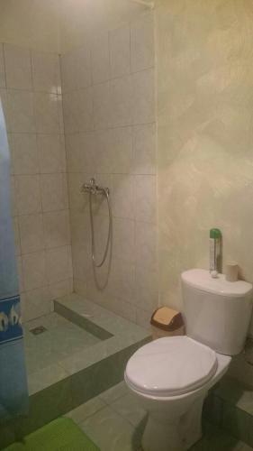 Владикавказ: Altyn Mini-Hotel