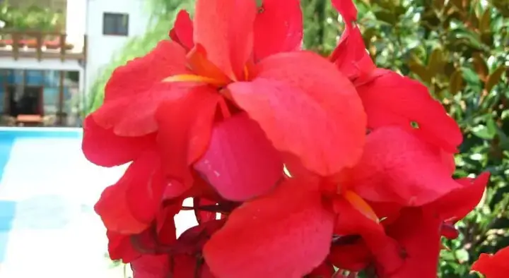 Tikhaya Dacha — фото 3