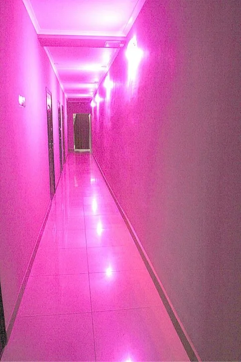 Барнаул: Abel Mini-Hotel
