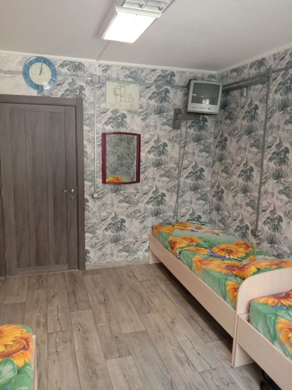 Барнаул: Хостел Подсолнух