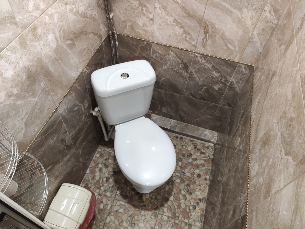 Барнаул: Хостел Подсолнух