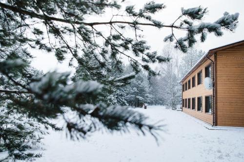 Пряжа: Guest House - Belye Nochi
