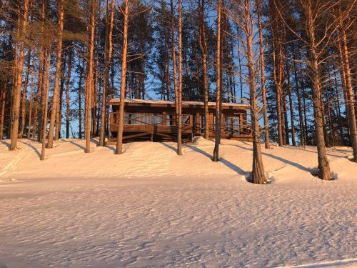 Пряжа: Guest House - Belye Nochi