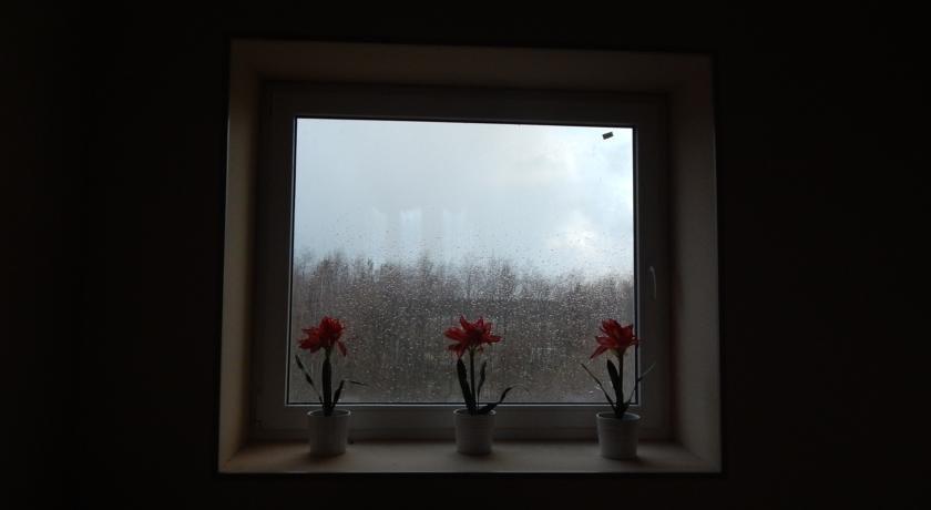 Петрозаводск: Отель Петр