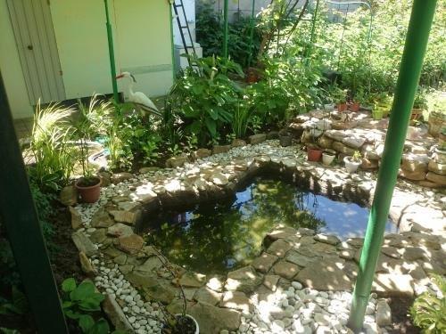 Ейск: Guest house 100%